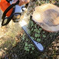 Entreprise abattage d'arbre 19
